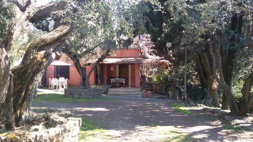 La Dolce Casetta Apartment Grottaferrata