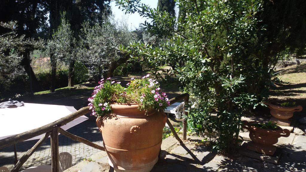 La Dolce Casetta Apartment Grottaferrata
