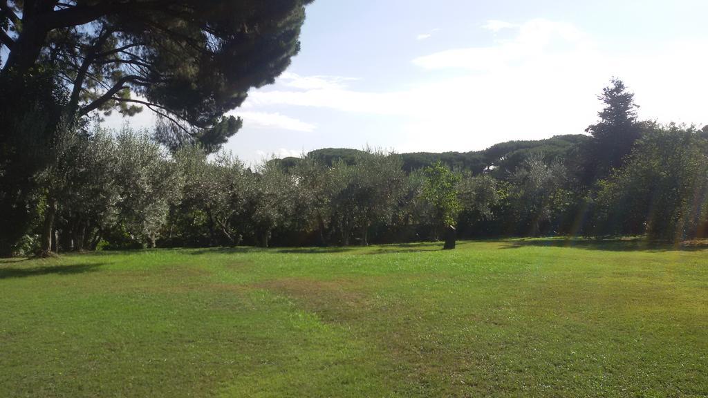 Apartment La Dolce Casetta Grottaferrata