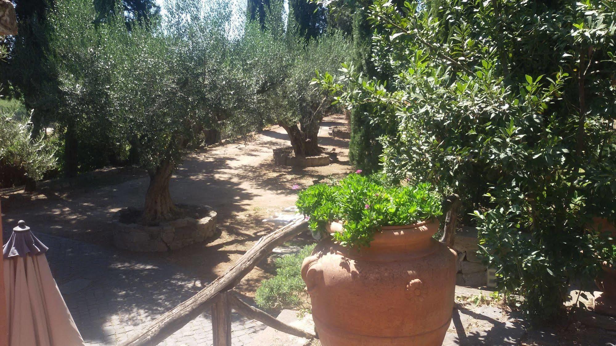 La Dolce Casetta Apartment Grottaferrata